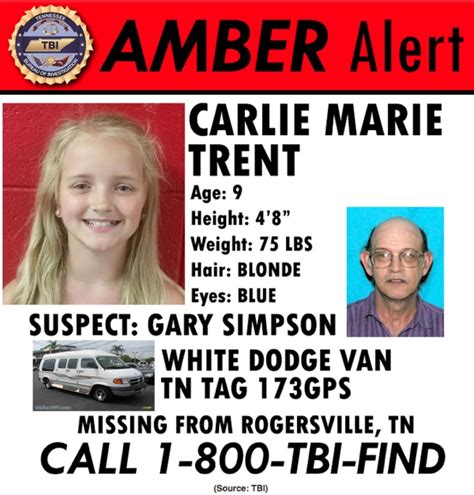 Police search for van in Missouri Amber Alert