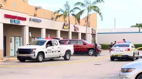 Police searching for armed robber after woman pistol-whipped at Hialeah shopping plaza