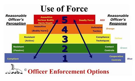 Police use of force case law the complete trainer instructor guide. - The everything guide to ayurveda by heidi e spear.