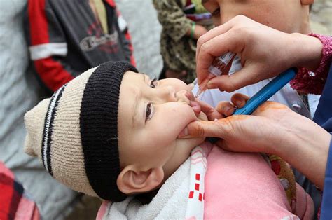 Polio vaccination campaign letter - GOV.UK