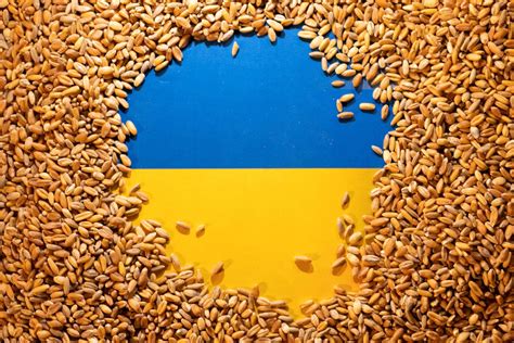 Polish government bans grain and food imports from Ukraine