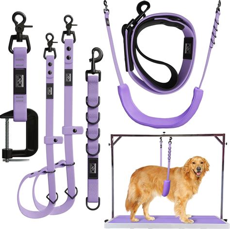 Politician hung pooch using strap as a loop and strangled it to perish