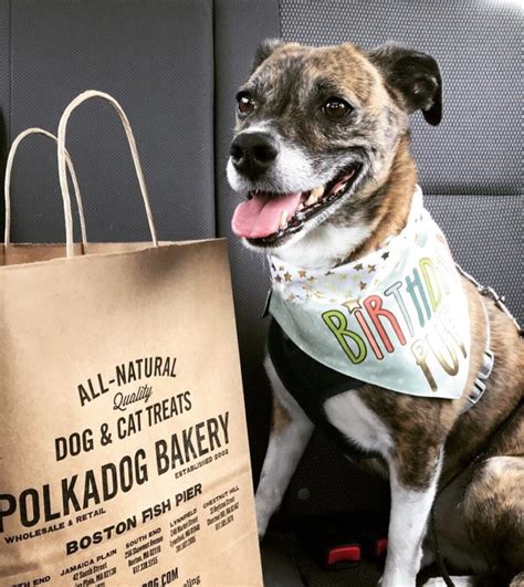 Polka dog. Polkadog Wonder Nuggets Turkey & Cranberry Flavor Soft & Chewy Dog Treats, 10-oz bag. Rated 5 out of 5 stars. 12. $13.50 Chewy Price. $12.82 Autoship Price. Autoship. 