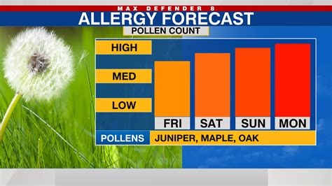 Pollen Levels Yesterday