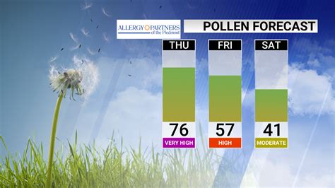 Rutherfordton, NC Weather. 22. Today. Hourly. 10 Day. Radar Tornado. 15 Day Allergy Forecast ... The pollen count is a measure of the pollen density in the air. Last updated: 05/22/2024.