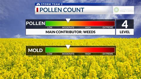 Allergy Tracker gives pollen forecast, mold coun