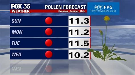 Pollen Breakdown covers specific pollens like ragweed, while Today’s Pollen Count tracks ALL pollen. The 15 Day forecast covers more than pollen – so even if pollen is low, the overall allergy .... 
