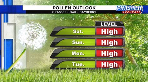 Get 30 Day Historic Pollen Levels for Fort Mye