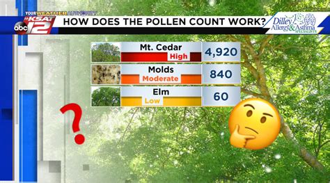 Pollen count katy. Things To Know About Pollen count katy. 