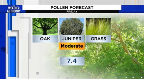 Allergy Tracker gives pollen forecast, mould count, ... Ruskin, FL, United States Weather. 1. Today Hourly ... Pollen Breakdown covers specific pollens like ragweed, while Today’s Pollen Count ... . 