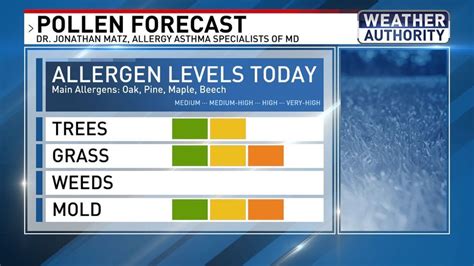 Salisbury, MD pollen forecast | MSN Weather. Thu 2. 86° 58°. Very High. Fri 3. 67° 50°. Very High. Sat 4. 67° 55°. High. 92 Very High Main allergy: Grass. Affect pollen …