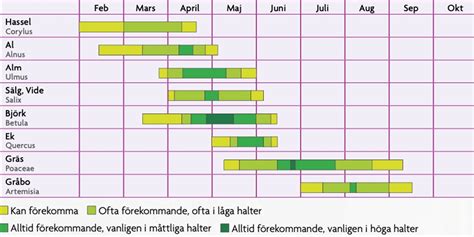 Pollenkollen norrköping