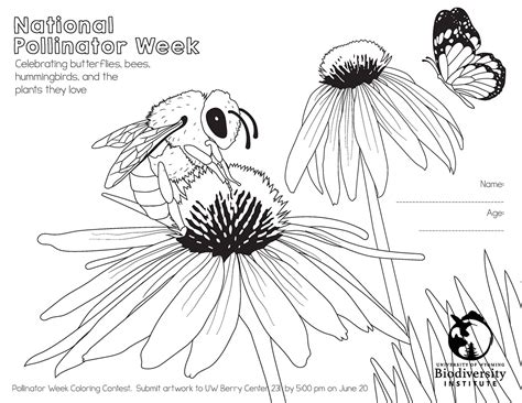 How To Create A Coloring Book To Sell On Amazon