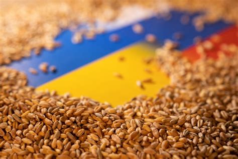 Polonia y Hungría prohíben los granos ucranianos ante el excedente del país vecino