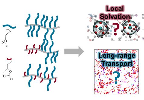 Polymer Guide: If you seek solvation - University of Washington