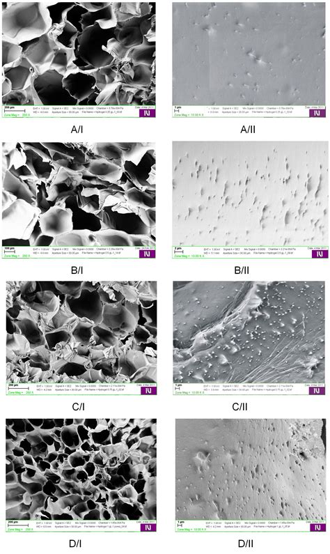 Polymer Nanocomposite Hydrogels for Water Purification