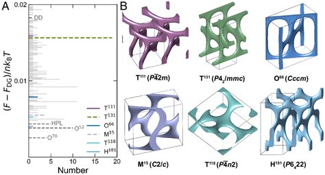 Polymer field theory