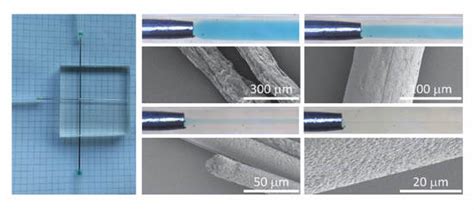 Polymers Free Full-Text Facile Fabrication of ... - MDPI