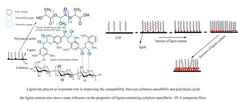 Polymers Free Full-Text Poly(lactic acid)/Cellulose Films ... - MDPI