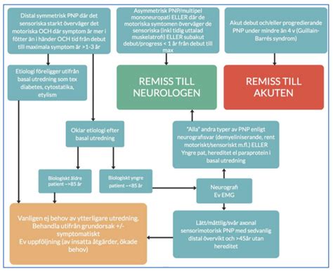 Polyneuropati alkohol