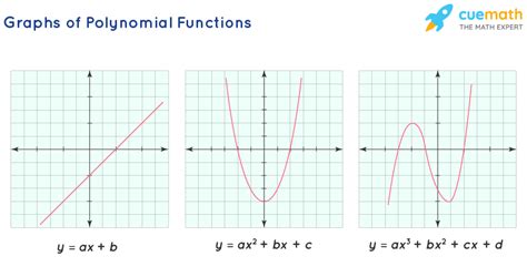 Polynomial functions