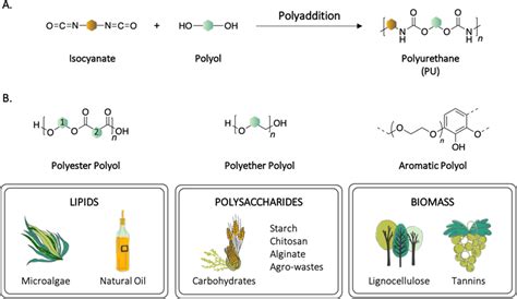 Polyols for Polyurethanes – Chemical production and …