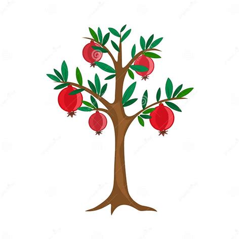 Pomegranate Tree, Vector Tree Fruit Vector Summer Stock Vector