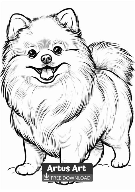 Pomeranian Coloring Book