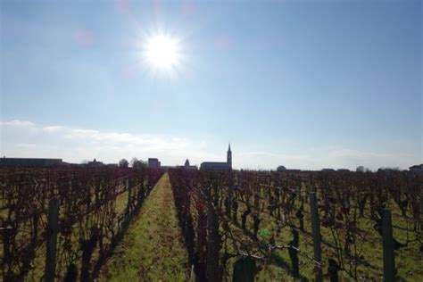 Pomerol: Small but Beautiful FINE+RARE