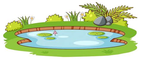 Pond Images - Free Download on Freepik