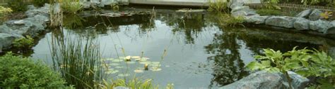 Pond Services UK