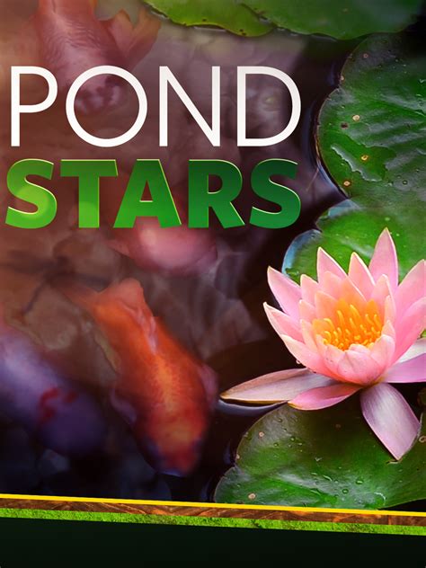 Pond Stars Video The Pond Doctor