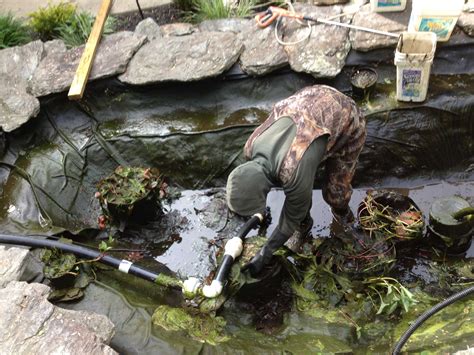 Pond maintenance. Cleaning Koi Pond in Spring. If there’s anything picture-perfect about a koi pond, it has to be the sparkling clean water. With the arrival of spring, cleaning the pond should be high up on your maintenance checklist. You want to get rid of all the debris and scrub off any growing algae in and around the pond. Removing Debris 
