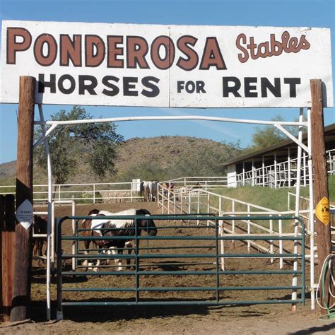 Ponderosa stables. All of us here at Ponderosa Stables wanted to let everyone know we are still open our regular hours. We are now able to do our Tbone steakhouse dinner ride as they have reopened. To schedule a ride... 