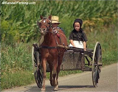 Pony Cart: the Amish ATV