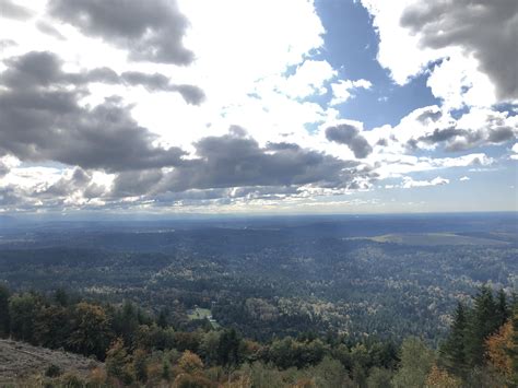 Poo Poo Point - Chirico Trail (Issaquah) - 2024 All You