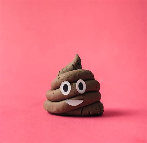 Poo poo. Pooping is the body's way of getting rid of waste products and the undigested food that does not get absorbed. It can vary from person to person depending on factors … 