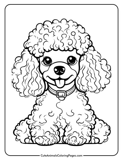 Poodle Coloring