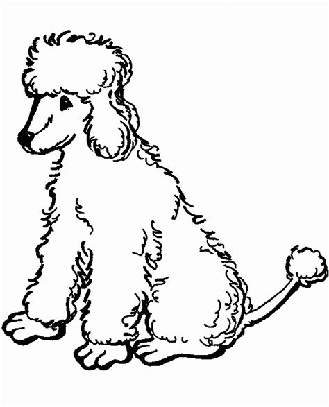 Poodle Coloring Pages Best Coloring Pages For Kids