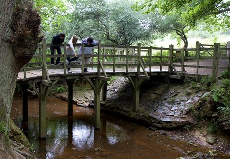 Pooh Sticks Bridge - Pooh Trek