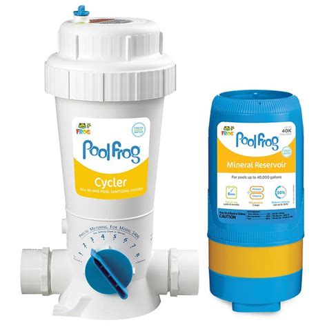 Pool FROG Inground System: Pool Chlorinator & Mineral Systems