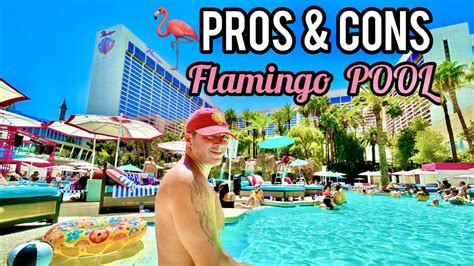 Pool Giveaway! Flamingo Pools