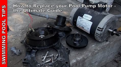 Pool Pump Bearings: The Ultimate Guide to Ensuring Smooth Operation