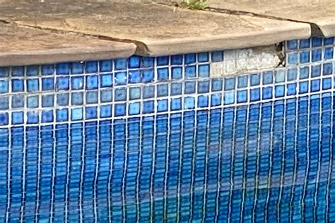 Pool tile repair. 6 Jan 2015 ... In order to repair the pool tile you may have to lower the water level to properly install the repair tile. Once the water has been lowered the ... 