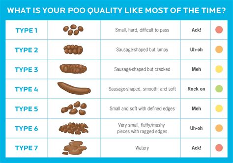 Poop log. Dog Poop Shape. Healthy dog stool should be log-shaped and maintain its form. If your dog’s poop is round, dry and pebble-like they may be dehydrated. Make sure they have access to plenty of water and are not in an excessively hot environment. You can also add wet food to their diet, as it often contains more than 80 percent moisture. 