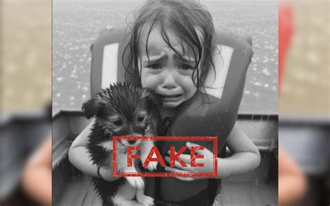 Poop xnxx.  Daily Updates, Discover the Growing Collection of High Quality Most Relevant...