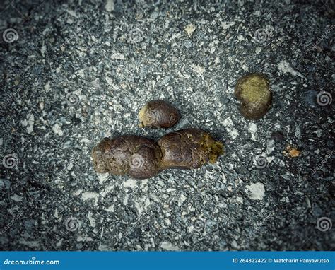 Poops Onlyfans Leak