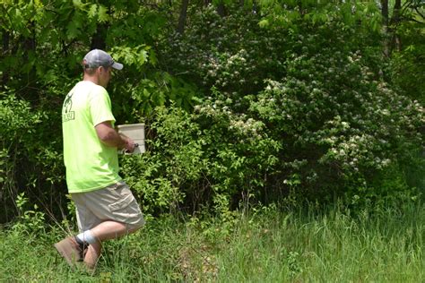 Poor Man’s Food Plot Michigan Out-of-Doors