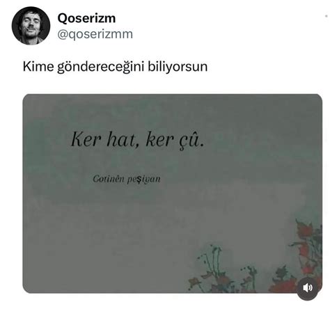 Popüler Kürd . . . . . . . . . . #şakiro #müzik #ses #dengbej. 