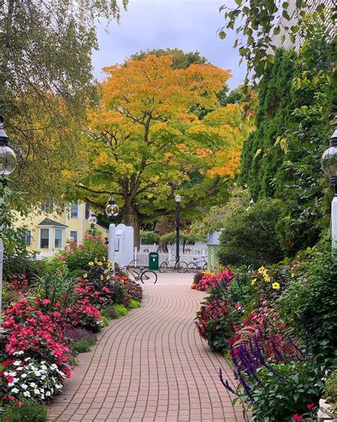 Poppins - Mackinac Island